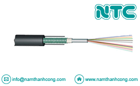 Cáp quang Multimode / Singlemode Outdoor GYXTW