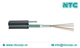 Cáp quang treo ngoài trời Multimode, Singlemode, hình số 8